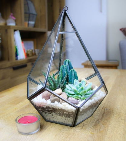 Diamond pyramid terrarium for the home DIY kit