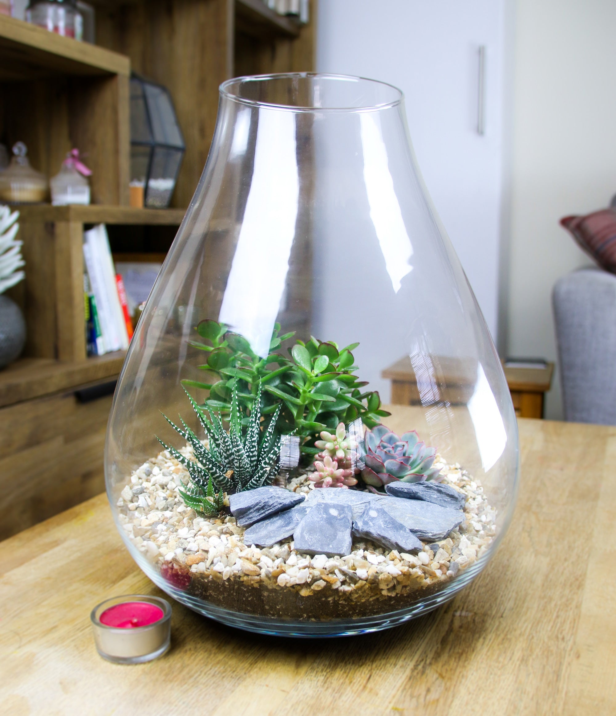 Designer glas terrarium kit with succulents