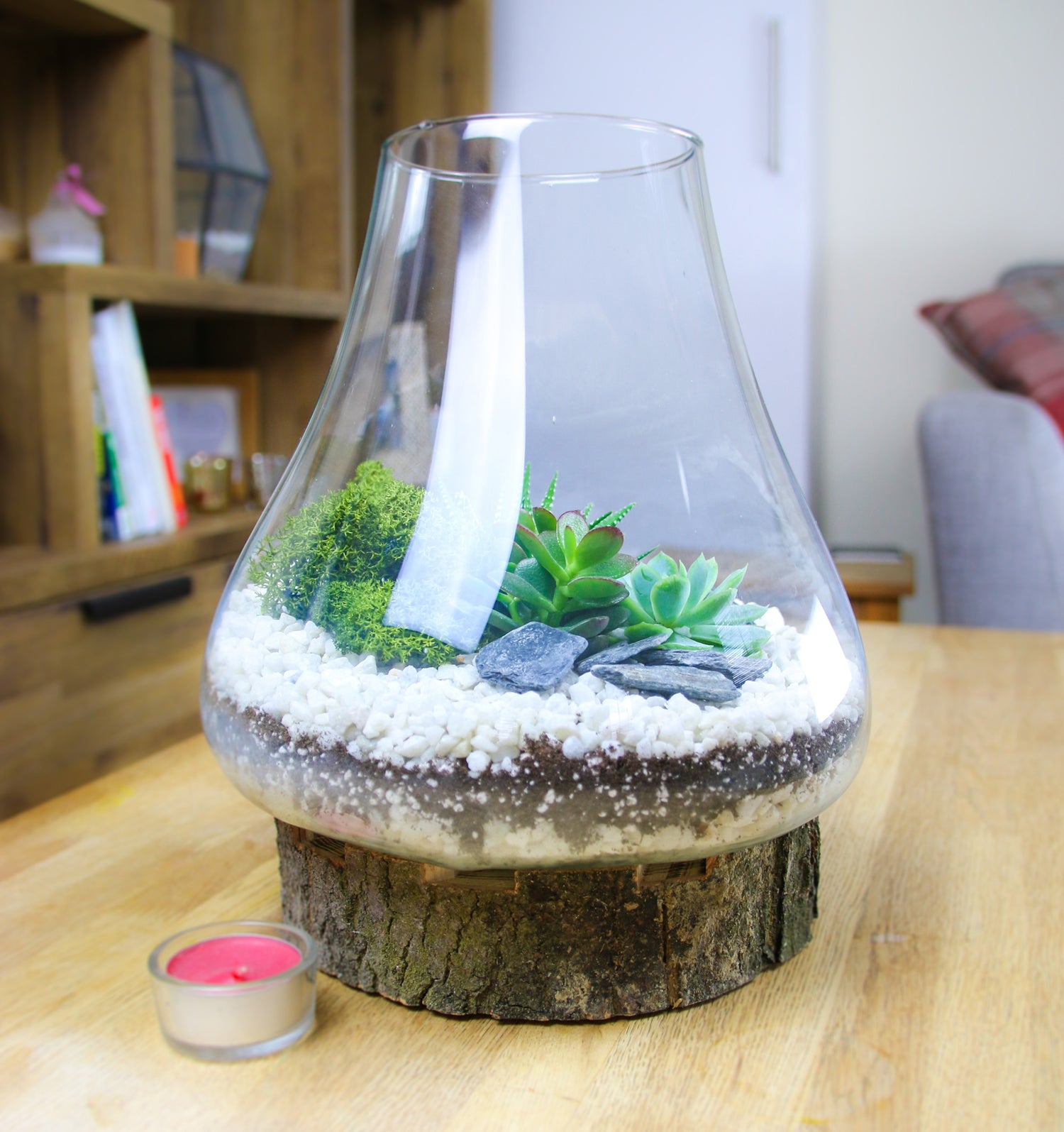 Moulded glass Terrarium with wooden base
