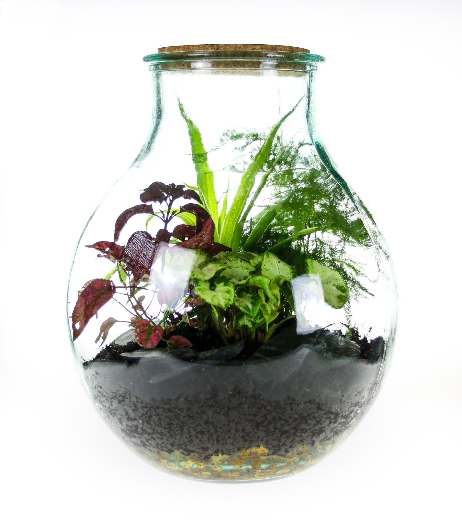 15L Medium Wide Neck Glass Closed Terrarium Kit