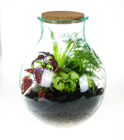 Glass bottle ecosystem