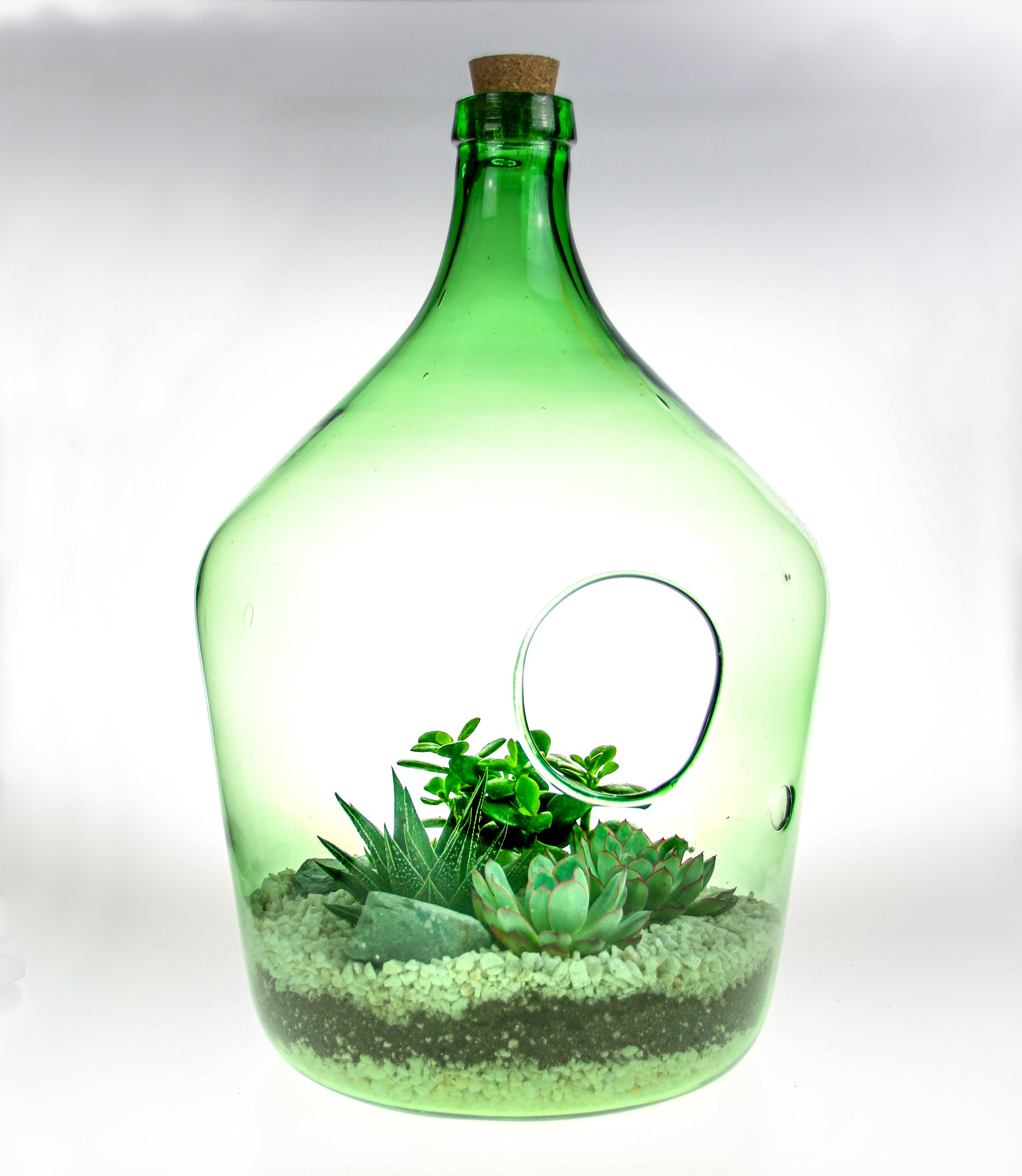 House plant terrarium ideas to buy online