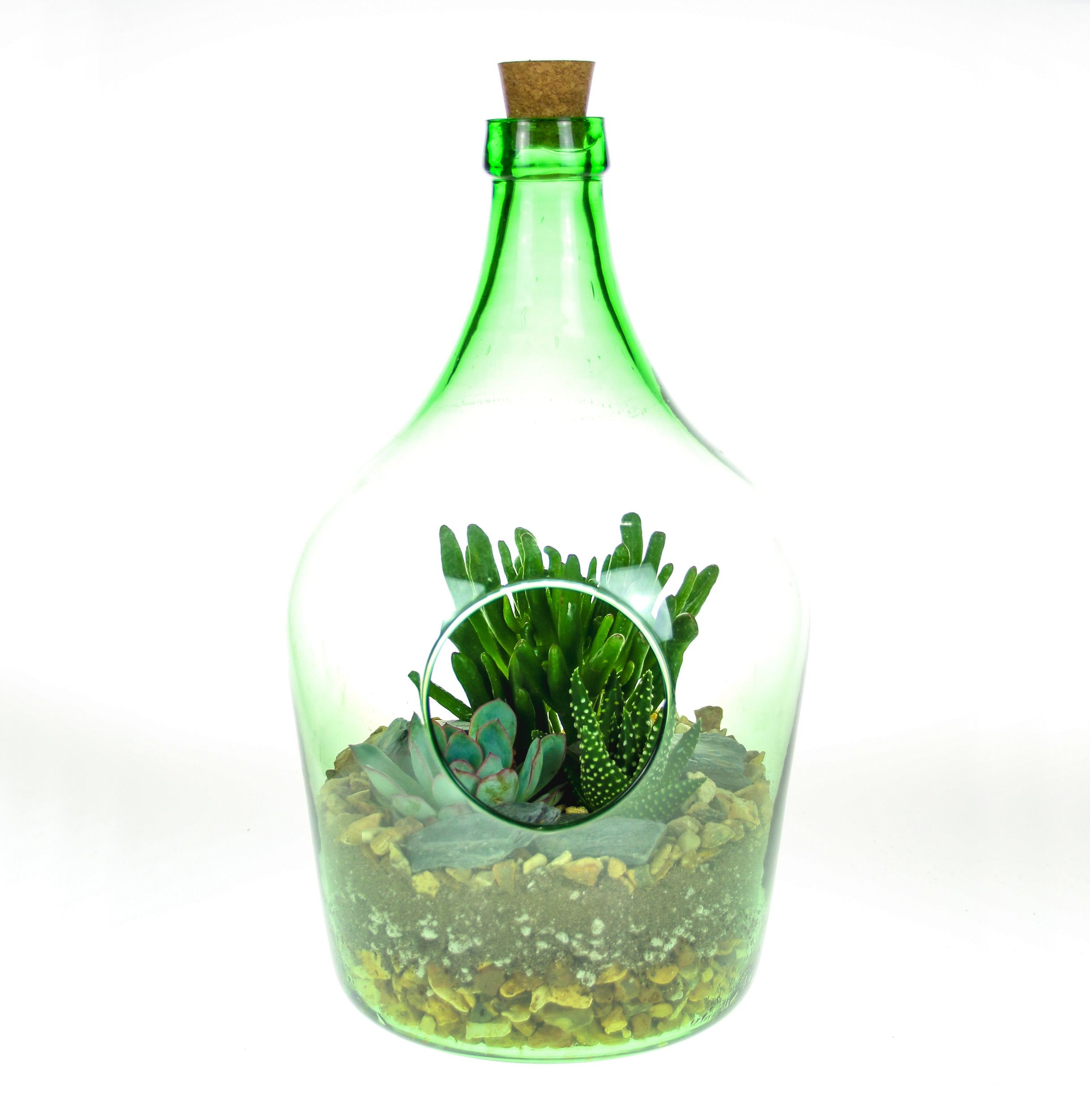 Modern bottle terrarium designs