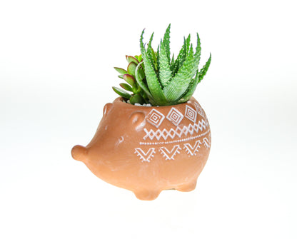 Terracotta planter with white geometric patterns and living house plants