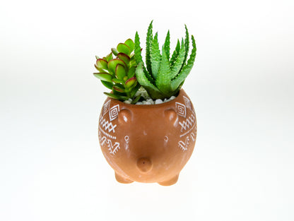 Indoor planter with plants gift ideas for UK delivery