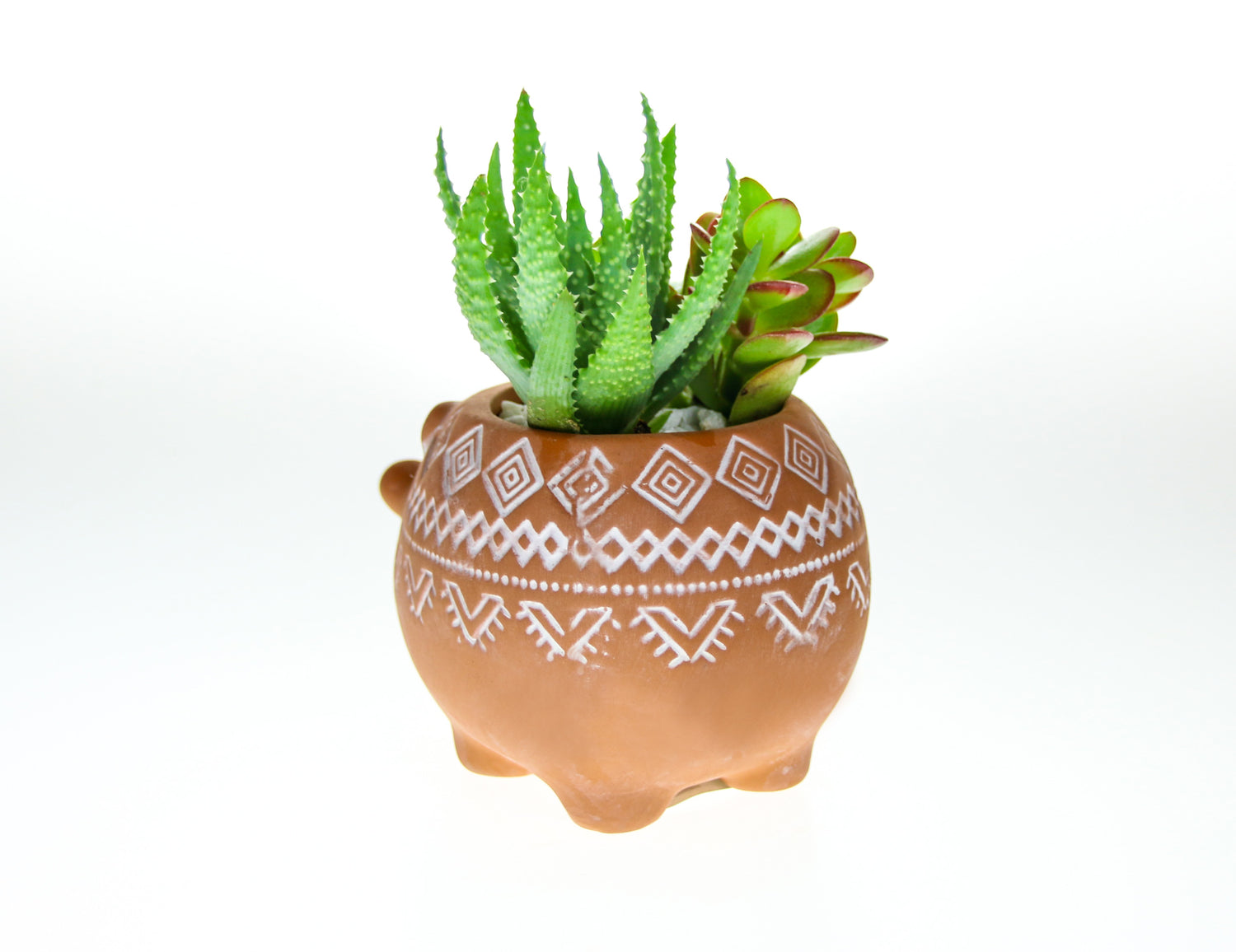 Bohemian terracotta indoor planter with succulent plants, order online