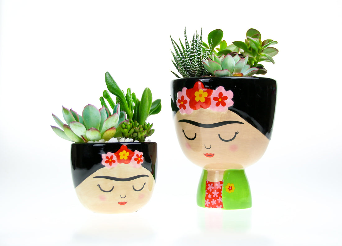 Indoor planters with real plants