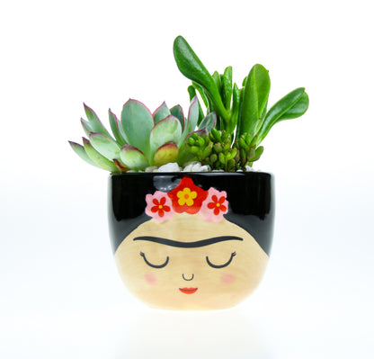 Birthday present ideas with real plants for home delivery