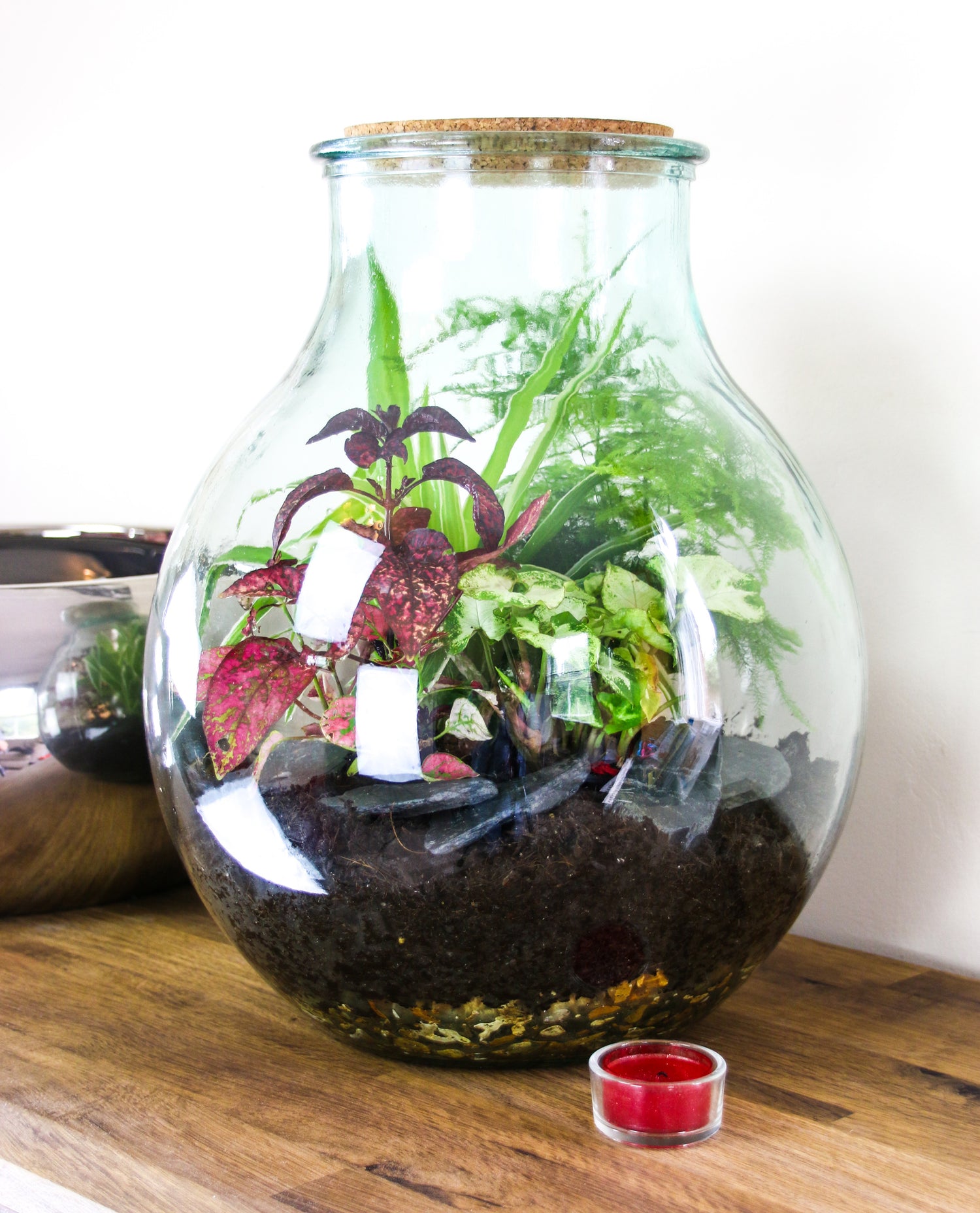 Closed terrarium with cork lid