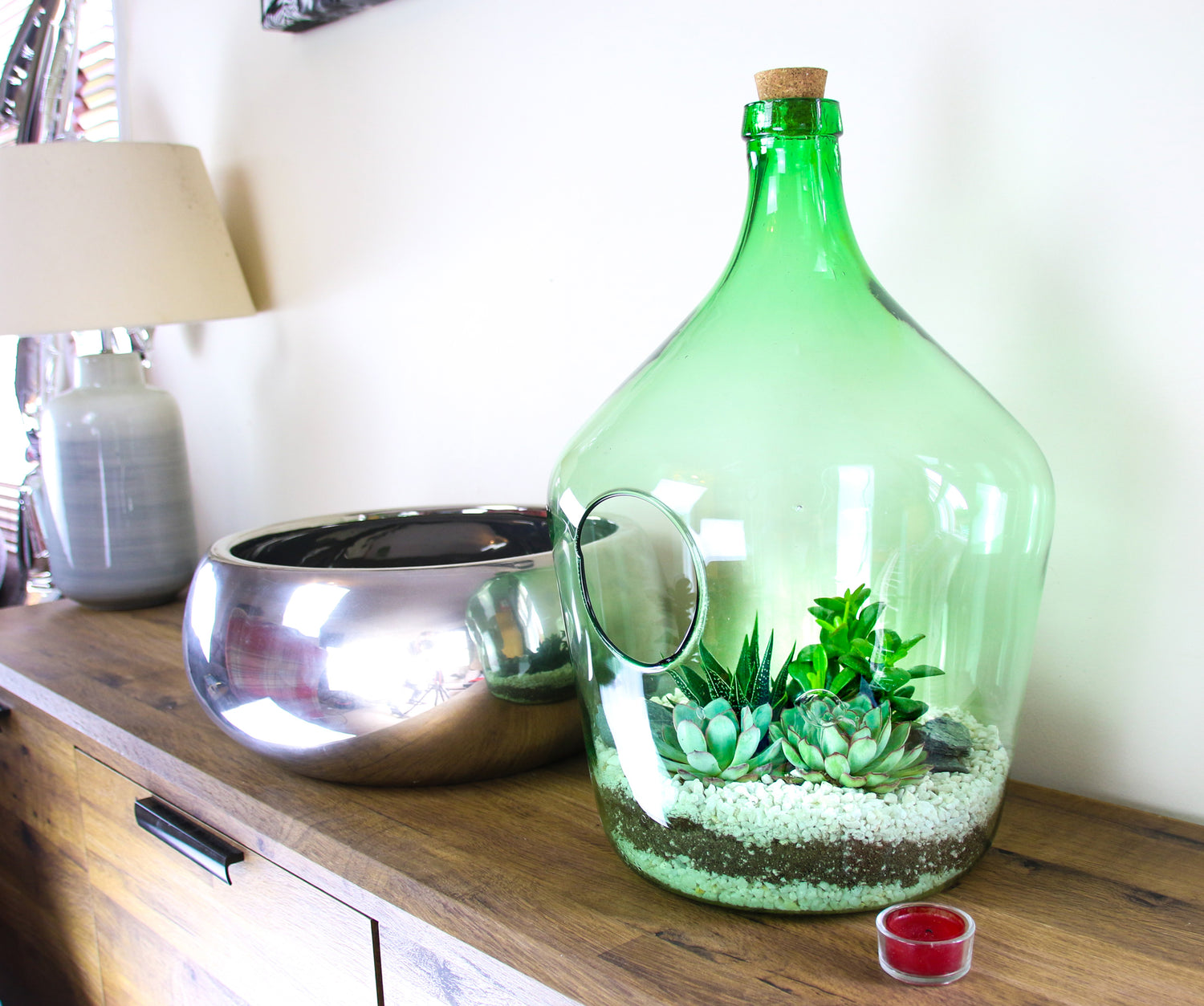 Large terrarium display for house plants