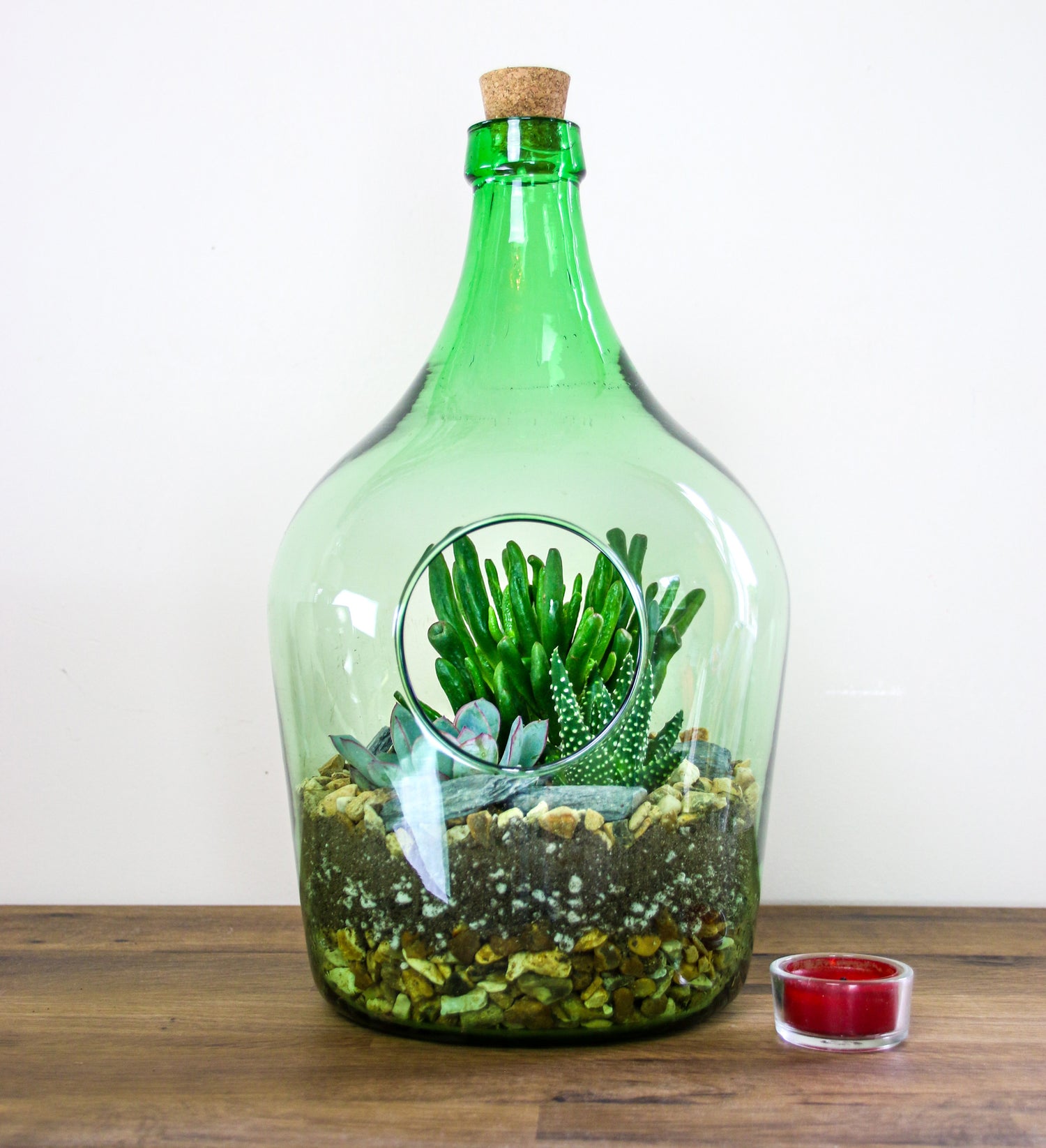 succulents in glass bottles 5 Litre Open Terrarium Bottle with Living Succulent Mix – The Art of Succulents