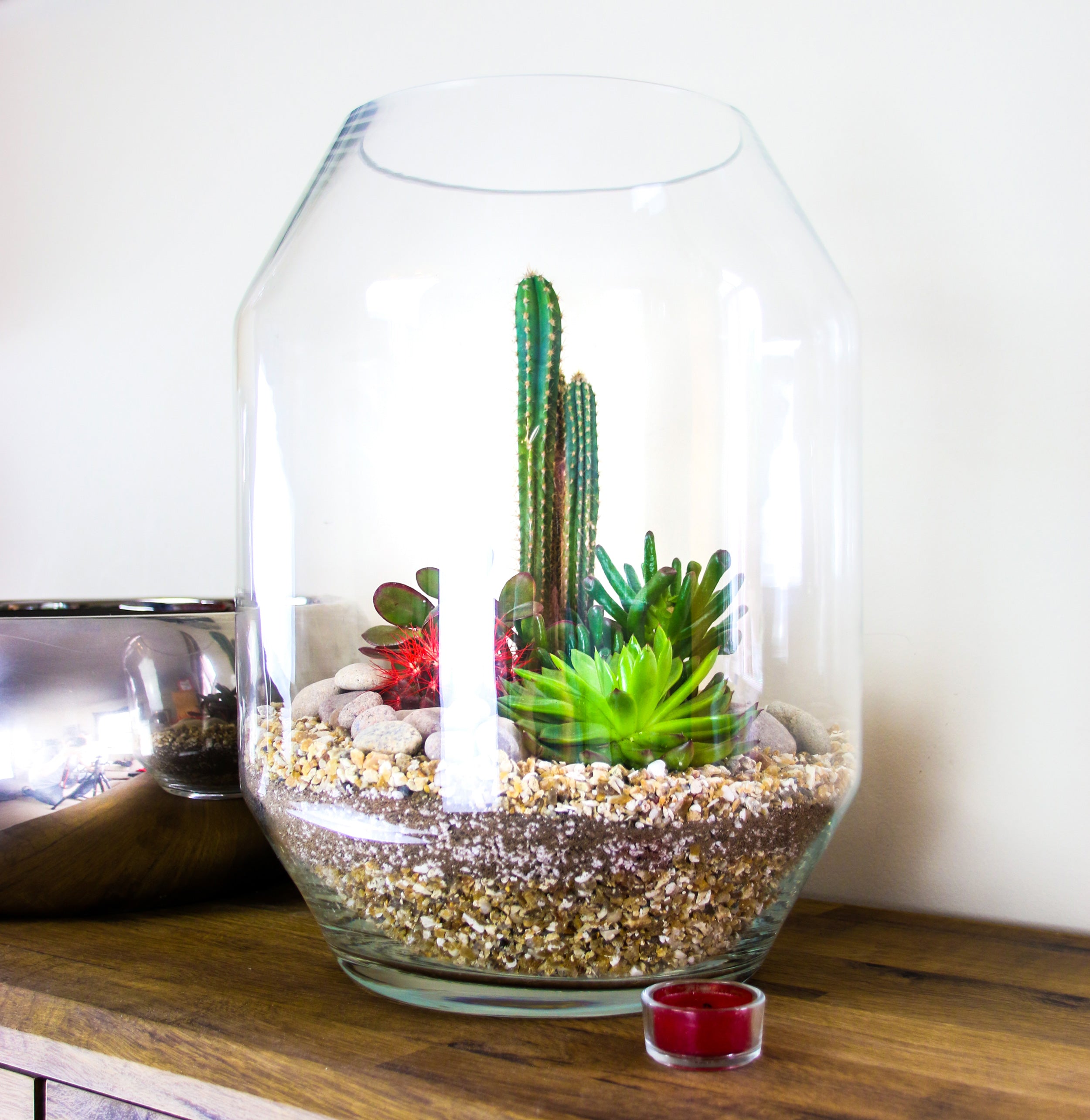 Extra Large Contemporary Glass Terrarium with Living Succulents &amp; Cacti Mix