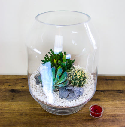 Terrarium for sideboard with assembly instructions