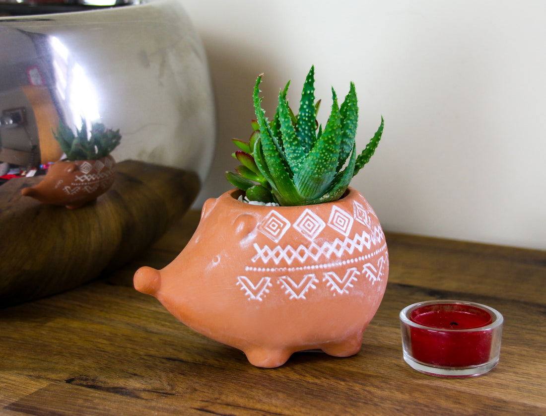 Mini Terracotta Hedgehog Planter with Real  Succulent Houseplants