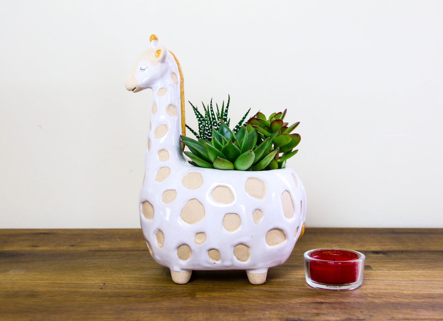 Ceramic indoor animal planter