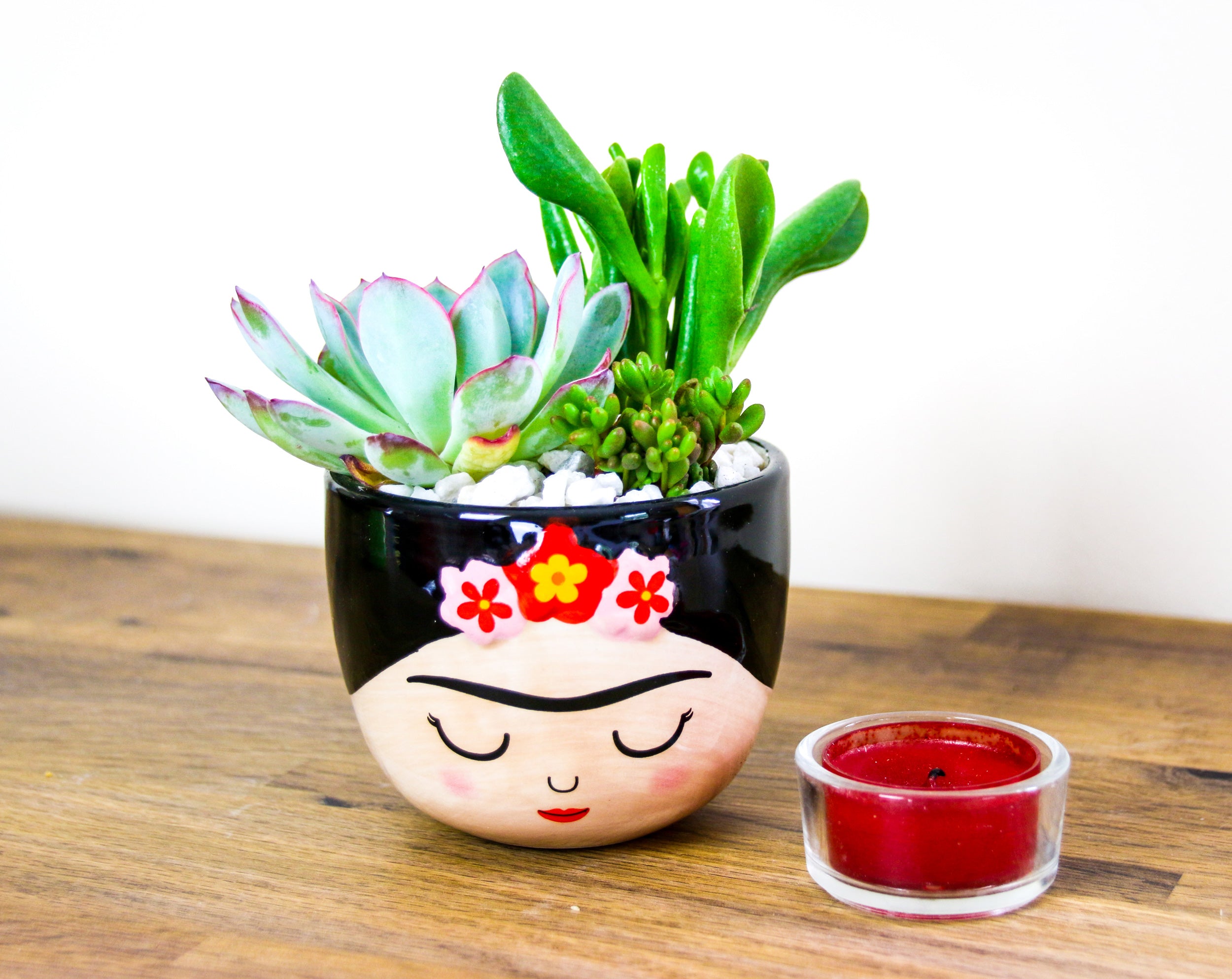 Frida Kahlo mini indoor planter