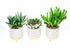Planters with legs to order online