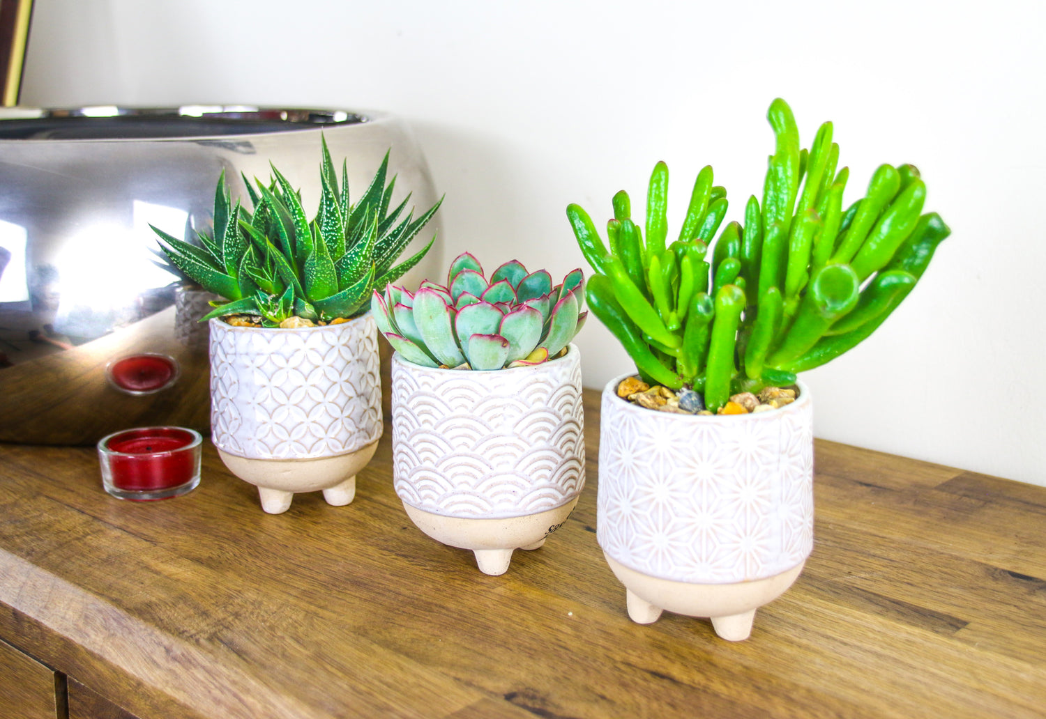 Stoneware indoor planters with real plants