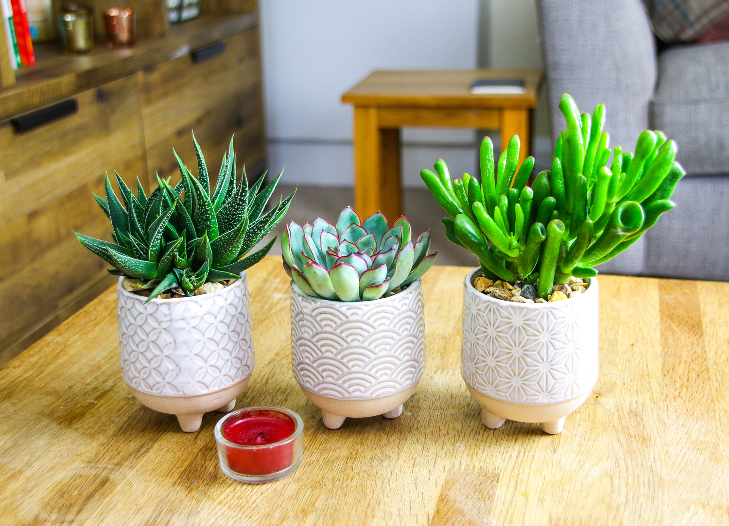 Trio of Japanese Inspired Stoneware Planters with Succulent Plants