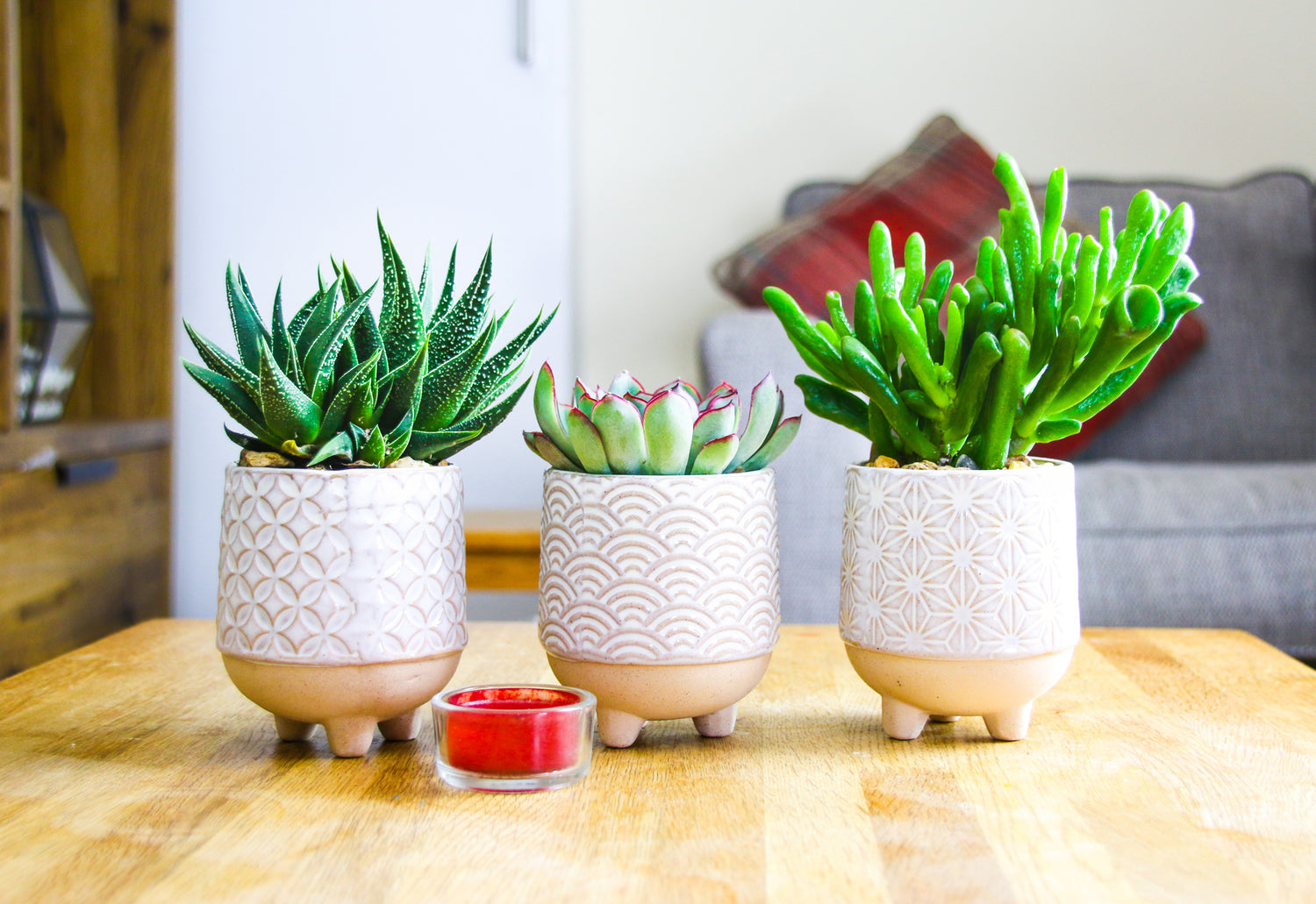 japanese indoor plant pots 3 Japanese Inspired Stoneware Indoor Planters with Succulent Plants – The Art of Succulents
