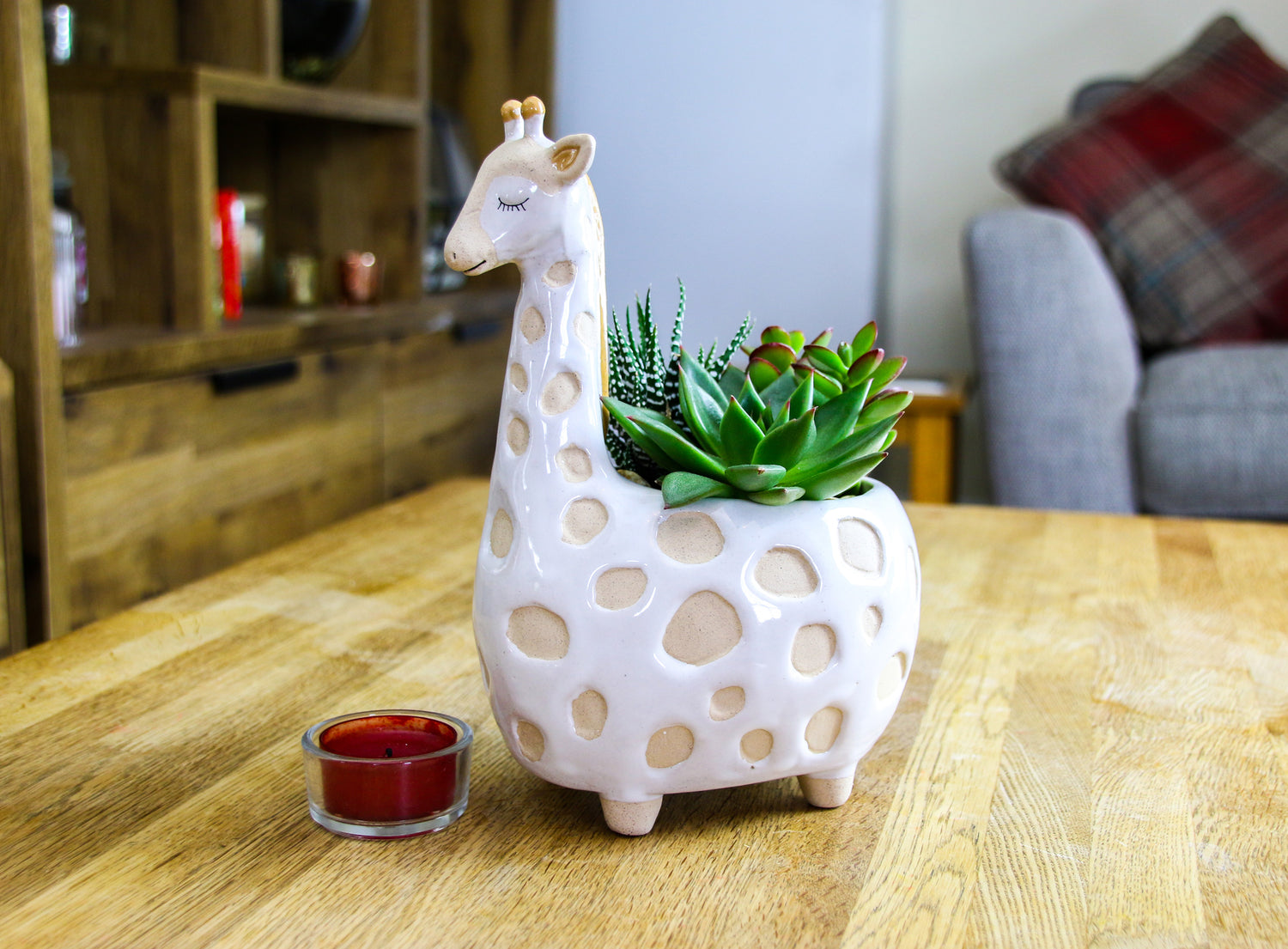 Gina Giraffe Planter with real succulent house plants
