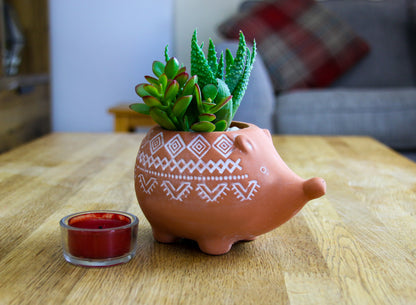 Mini Terracotta Hedgehog Planter with Succulent Houseplants
