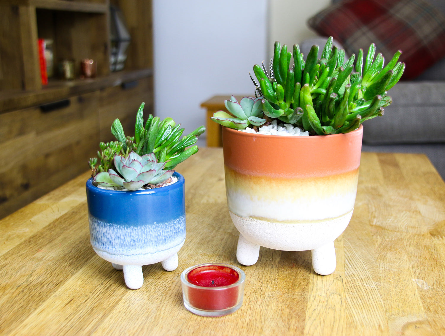 belle blue succulent Mojave Glazed Stoneware Planter Pair with Succulent Houseplant Mix