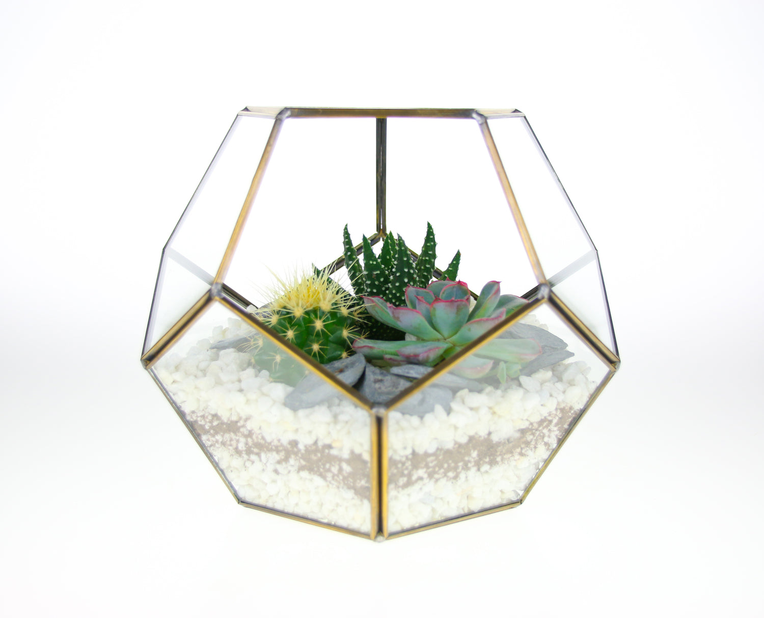 Order a terrarium gift online