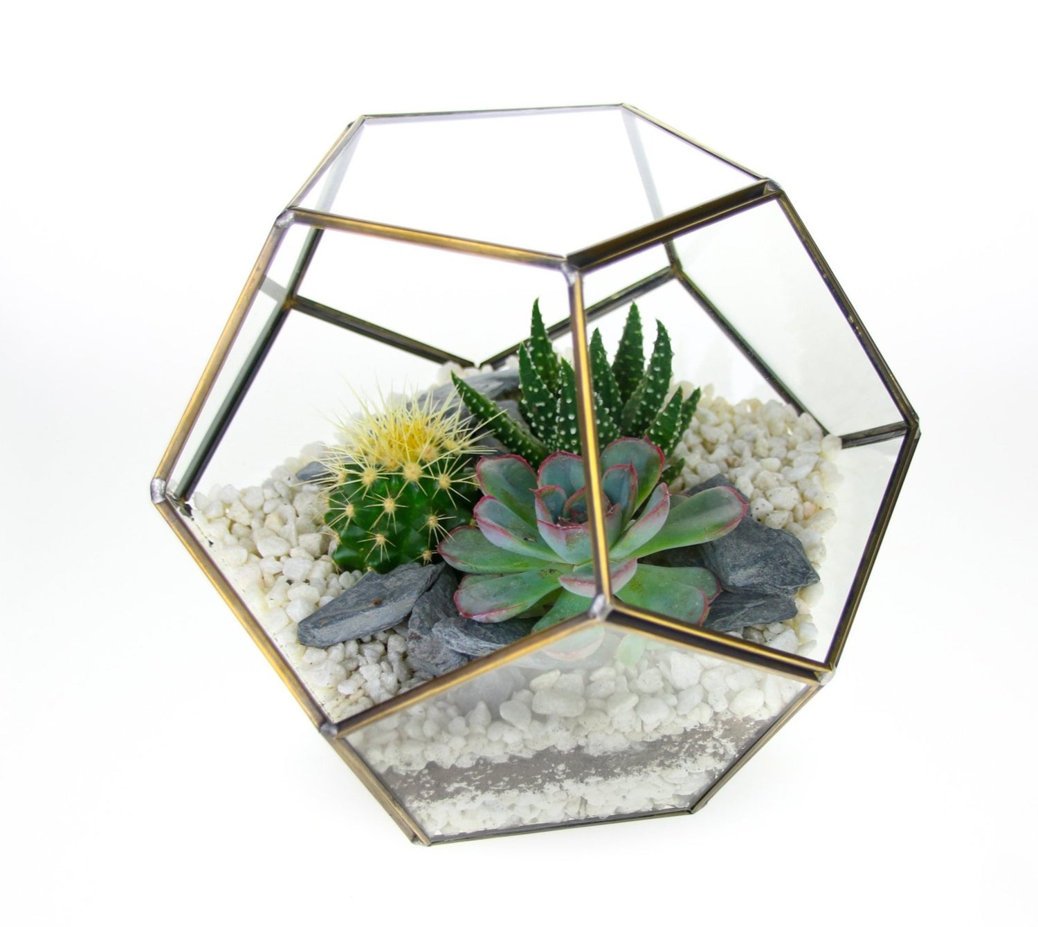 geometric terrarium plants The Geode