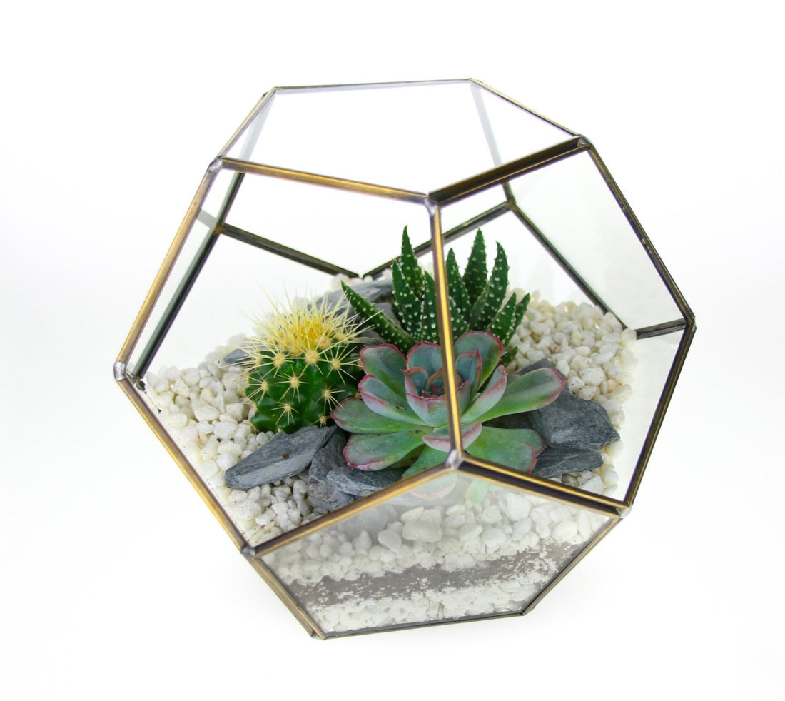 Globe terrarium in gold