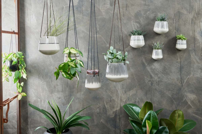 Indoor planters for succulents and cacti