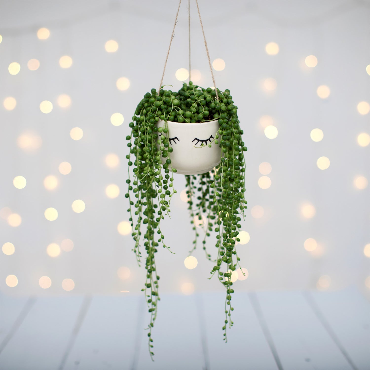 Living string of pleals plant