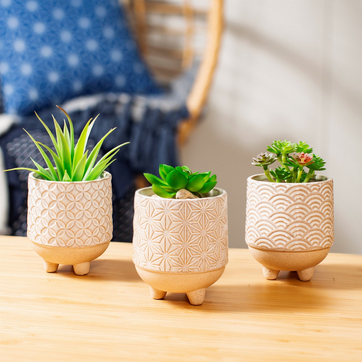 japanese succulent pots 3 Japanese Inspired Stoneware Indoor Planters with Succulent Plants – The Art of Succulents