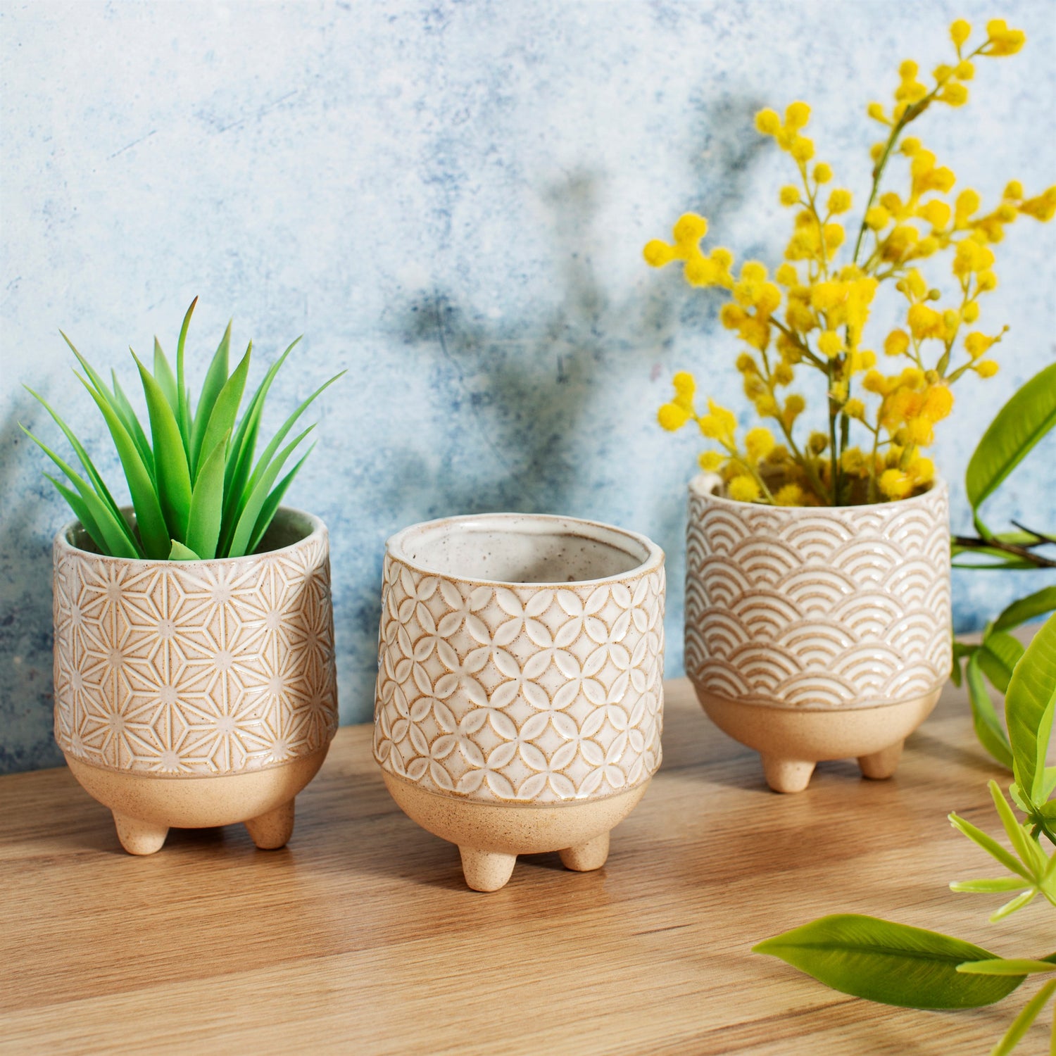 succulent plant pots uk 3 Japanese Inspired Stoneware Indoor Planters with Succulent Plants – The Art of Succulents