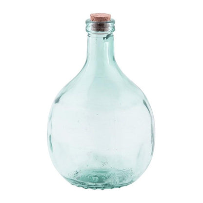 5 litre green bottle terrarium