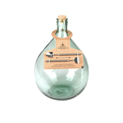 medium sized colosed bottle terrarium with cork bottle stop
