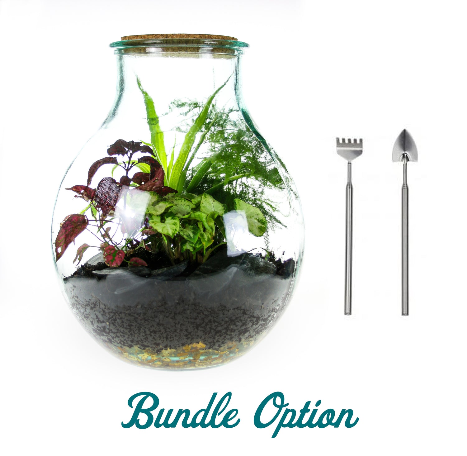 Bottle terrarium with tool set