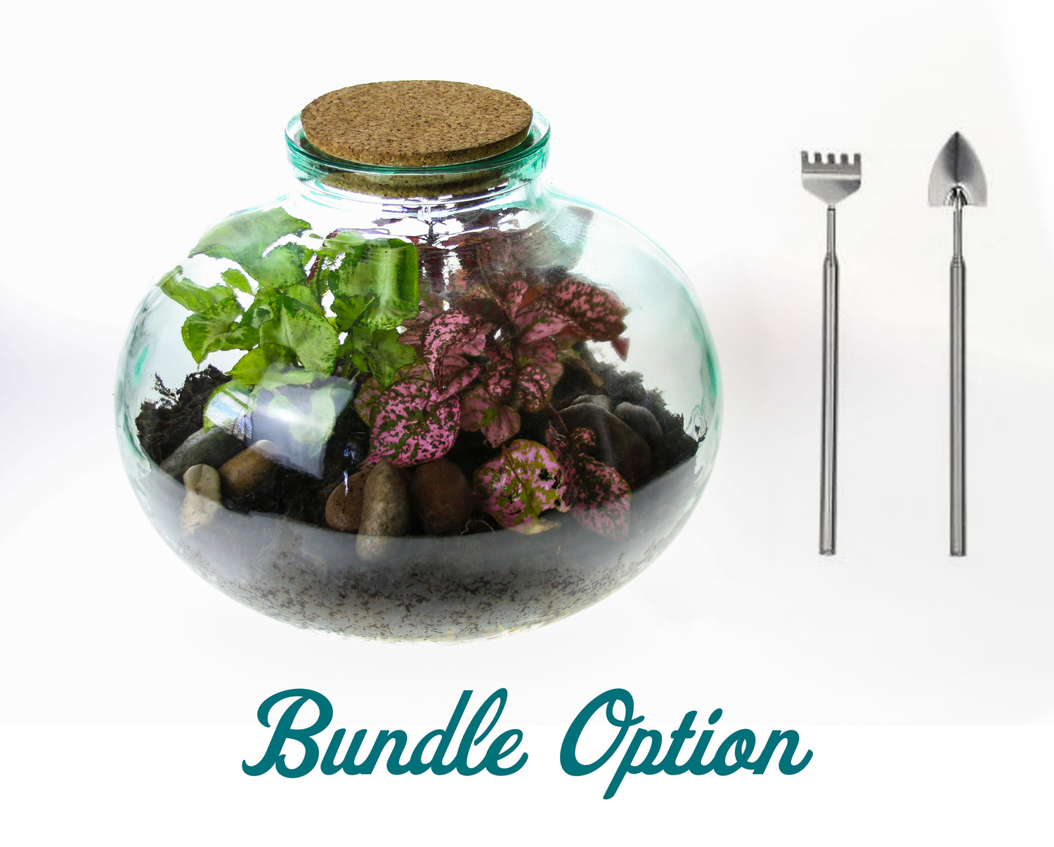 Closed bottle terrarium with tool set