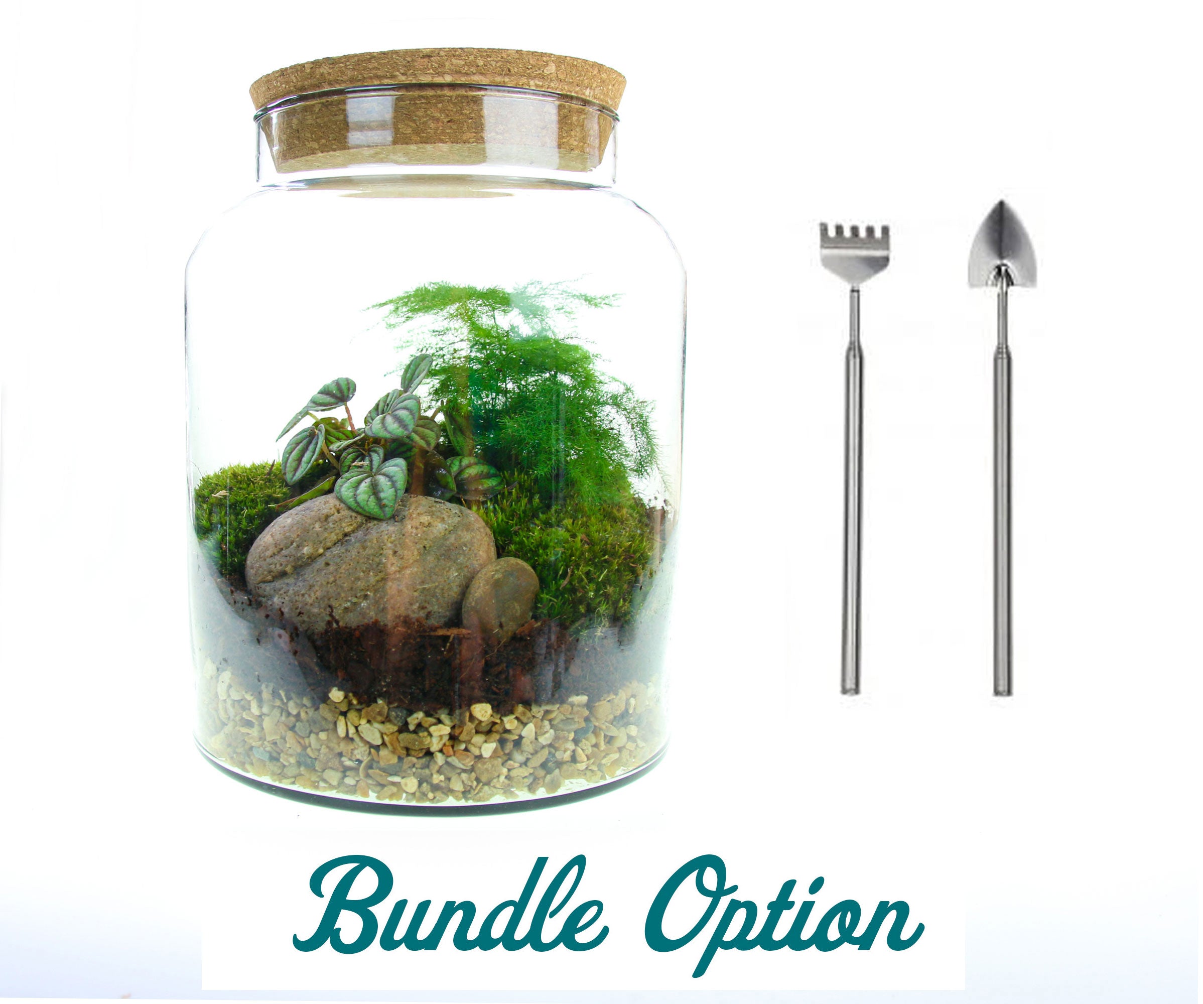 Complete Terrarium kit with telescopic tools, living moss and real plants
