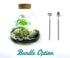 Terrarium kit with telescopic tool set and real plants