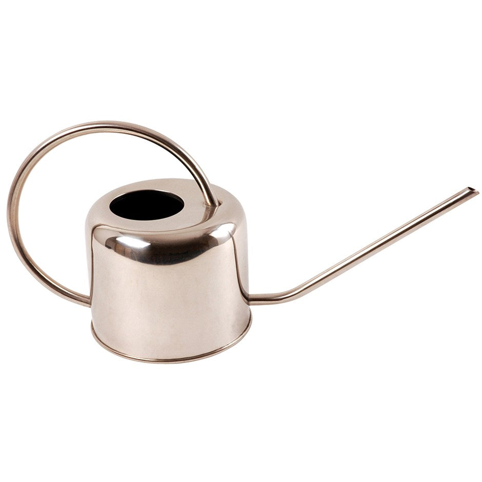 Stainless Steel Watering Can for House Plants and Terrariums