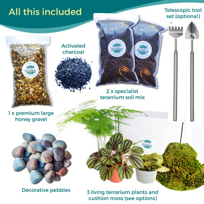 succulent terrarium charcoal Closed Terrarium Starter Kit, Moss & Plants, Small
