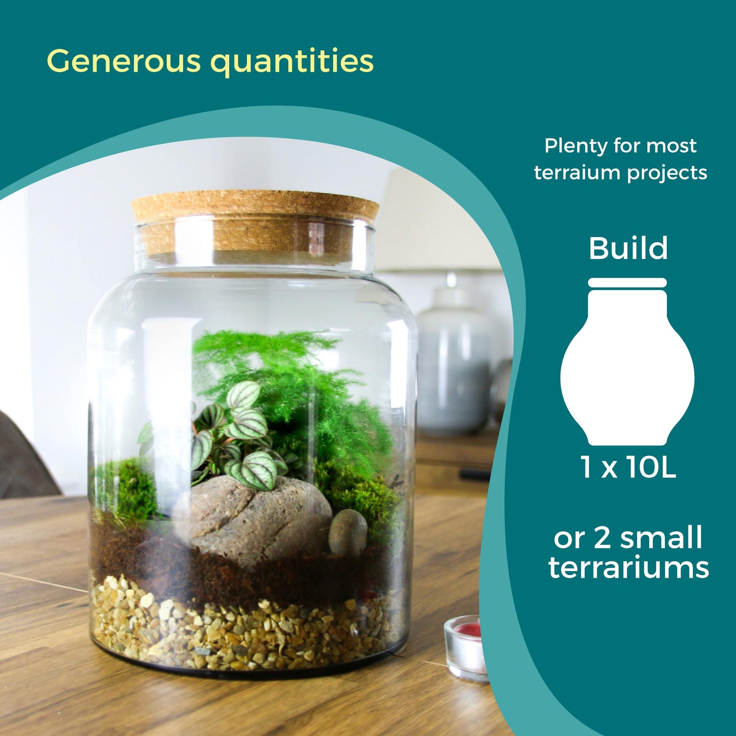 terrarium plant kit uk Closed Terrarium Starter Kit, Moss & Plants, Small