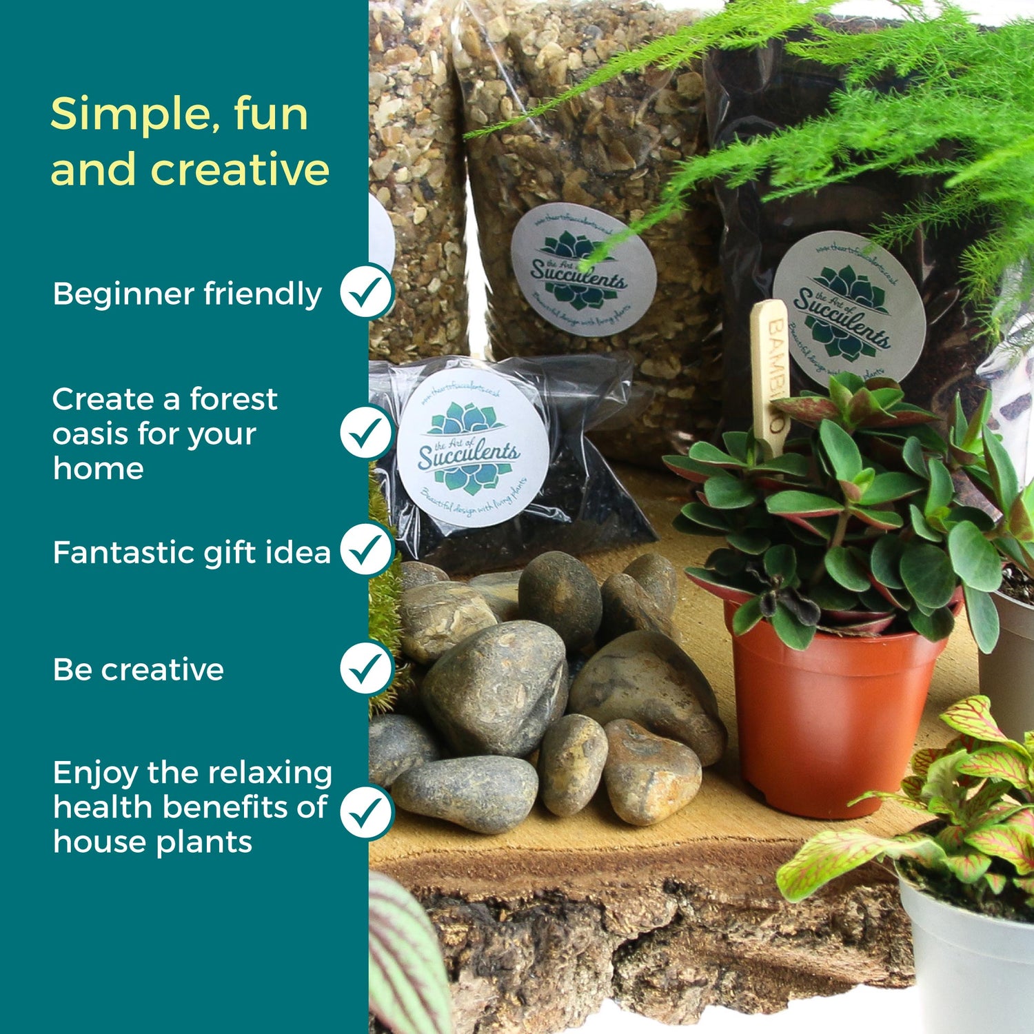 Terrarium kit to buy oline, how to build a terrarium