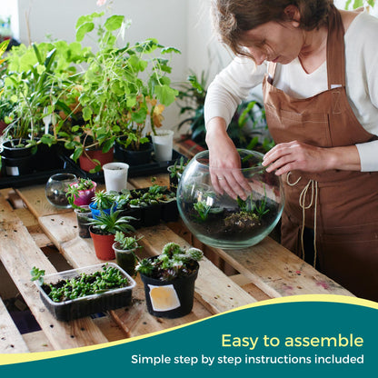 Closed Terrarium Starter Kit with 3 Plants - Small