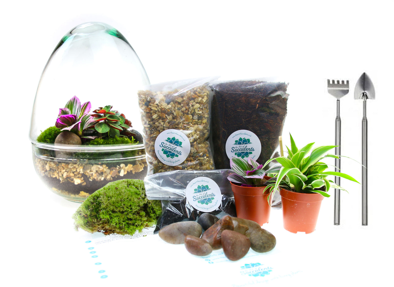 Terrarium kit with real plants and tools