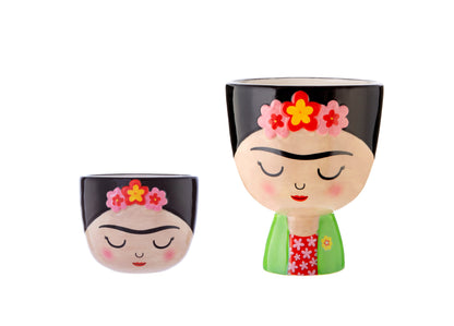 Frida Kahlo Inspired Planters with Living Succulent Plants