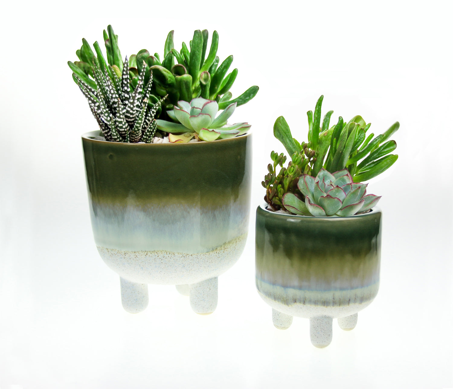 mojave indoor plant Mojave Glazed Stoneware Planter Pair with Succulent Houseplant Mix