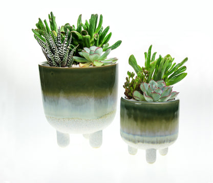 Green indoor planters with real plants