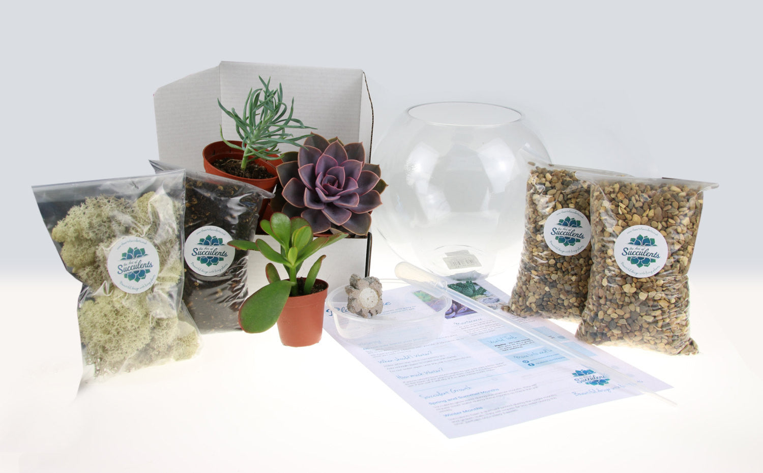 Terrarium Kit, UK Supplier